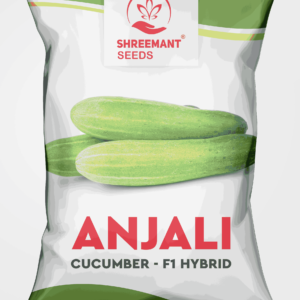 CUCUMBER - F1 HYBRID