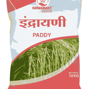 INDRAYANI PADDY
