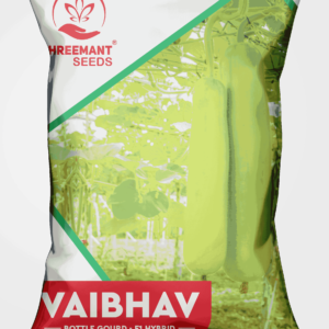 BOTTLE GOURD - F1 HYBRID